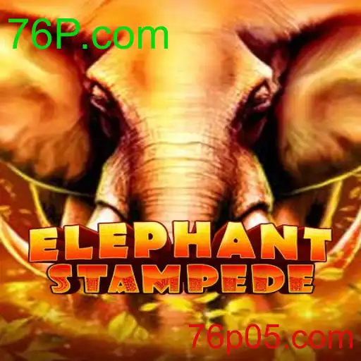 ElephantStampede